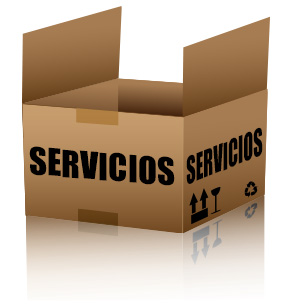caja de cartón abierta con la palabra servicios escrita en ambos lados.