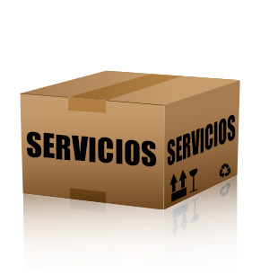 caja de cartón cerrada con la palabra servicios escrita en ambos lados.